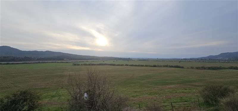 Parcela en venta en Hualañe - Imagen 13