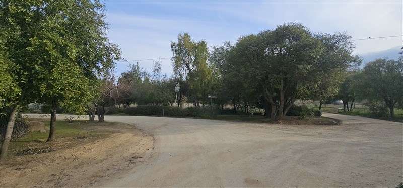 Parcela en venta en Hualañe - Imagen 3