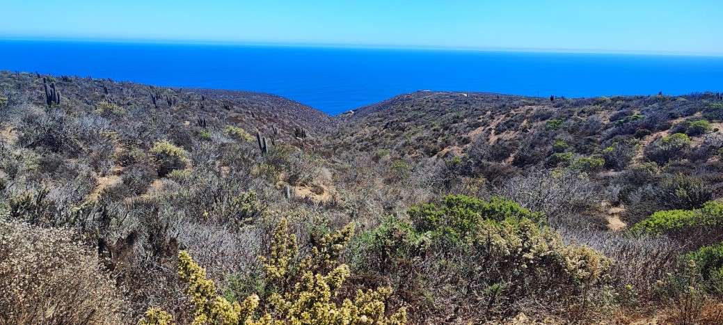 VIVE CERCA DEL MAR