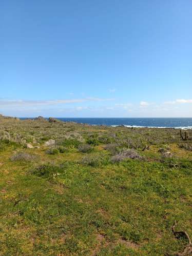 VIVE CERCA DEL MAR