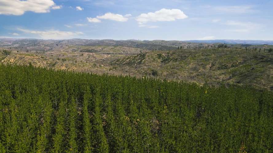 PARCELA DE AGRADO EN CONDOMINIO CERRADO