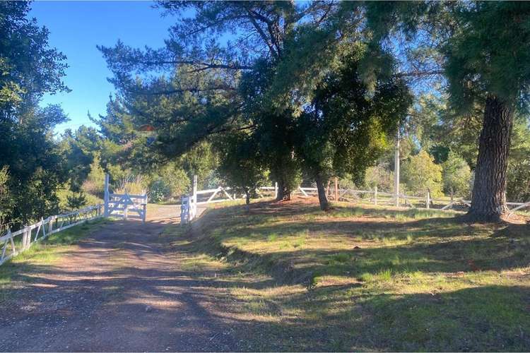 "oasis rural en yumbel: sueño de campo moderno"