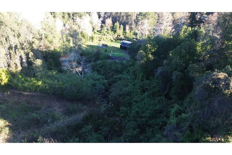 Terreno nonguén 3.000m² útiles urbanizado