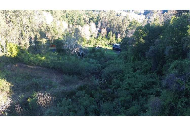 Terreno nonguén 3.000m² útiles urbanizado
