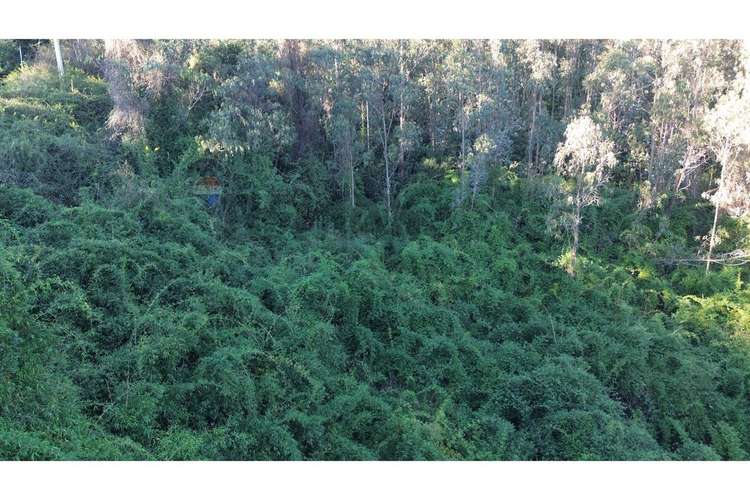Terreno nonguén 3.000m² útiles urbanizado