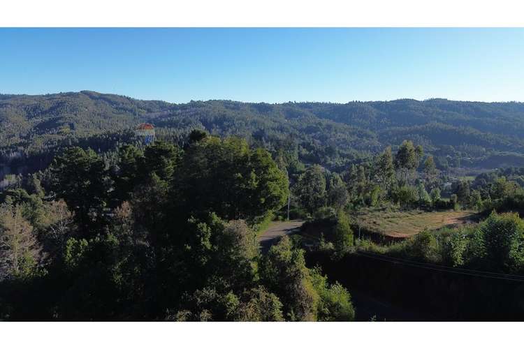 Terreno nonguén 3.000m² útiles urbanizado