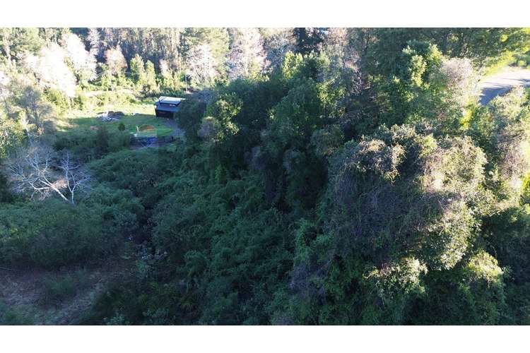 Terreno nonguén 3.000m² útiles urbanizado