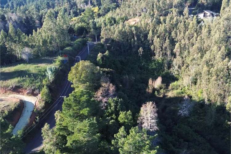Terreno nonguén 3.000m² útiles urbanizado