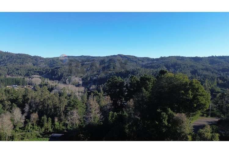 Terreno nonguén 3.000m² útiles urbanizado