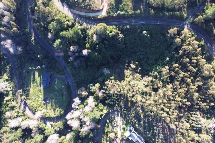 Terreno nonguén 3.000m² útiles urbanizado