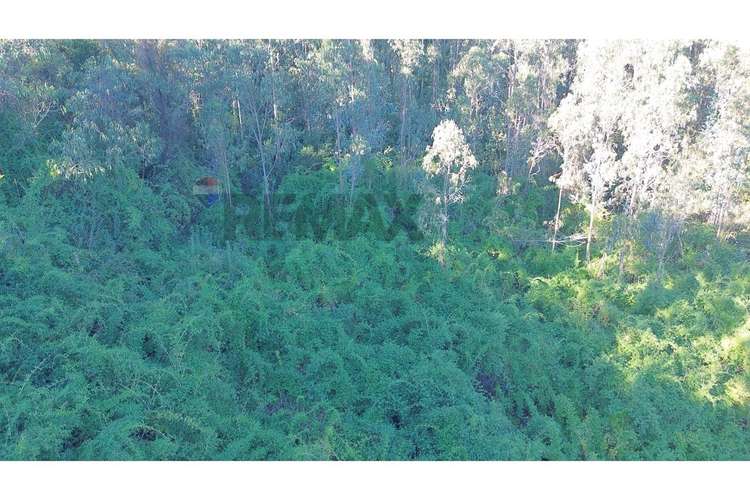 Terreno nonguén 3.000m² útiles urbanizado