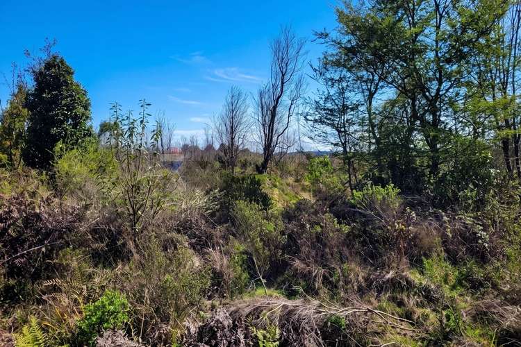 Venta parcela industrial en puerto montt - Imagen 3