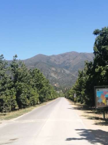 TERRENO 3,2 HA PARA PARCELA AGRADO BOSQUES DE ACULEO PAINE