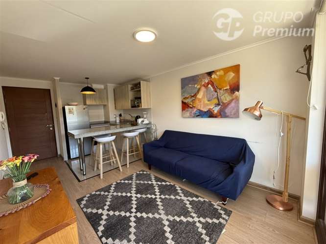 Venta Depto 2D 2B con vista lago- Villarrica - Imagen 7