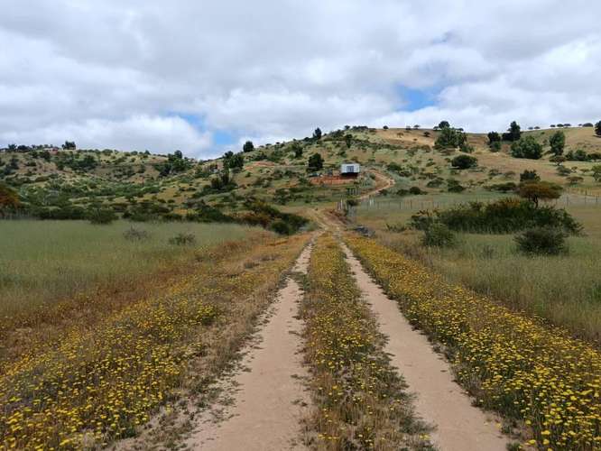 ¡Gran Oportunidad! Venta de Hermosa Parcela de 5.000 m² en Pumanque (Rol Propio)