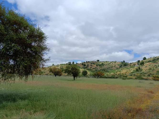 ¡Gran Oportunidad! Venta de Hermosa Parcela de 5.000 m² en Pumanque (Rol Propio)