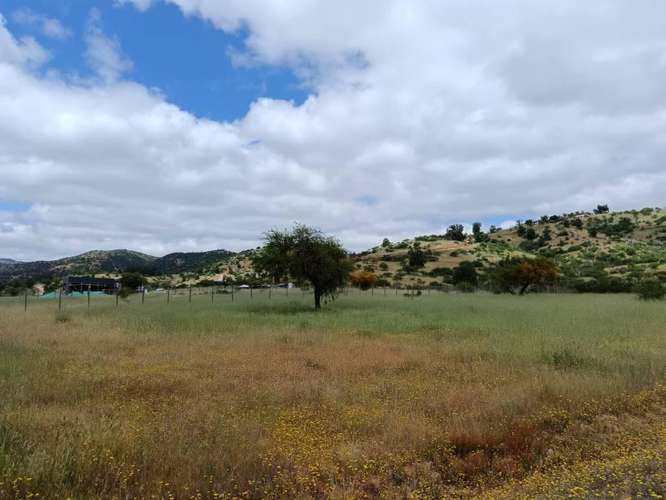 ¡Gran Oportunidad! Venta de Hermosa Parcela de 5.000 m² en Pumanque (Rol Propio)