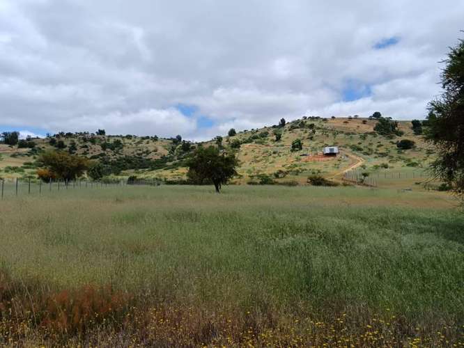 ¡Gran Oportunidad! Venta de Hermosa Parcela de 5.000 m² en Pumanque (Rol Propio)