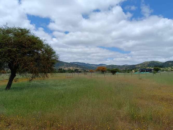 ¡Gran Oportunidad! Venta de Hermosa Parcela de 5.000 m² en Pumanque (Rol Propio)