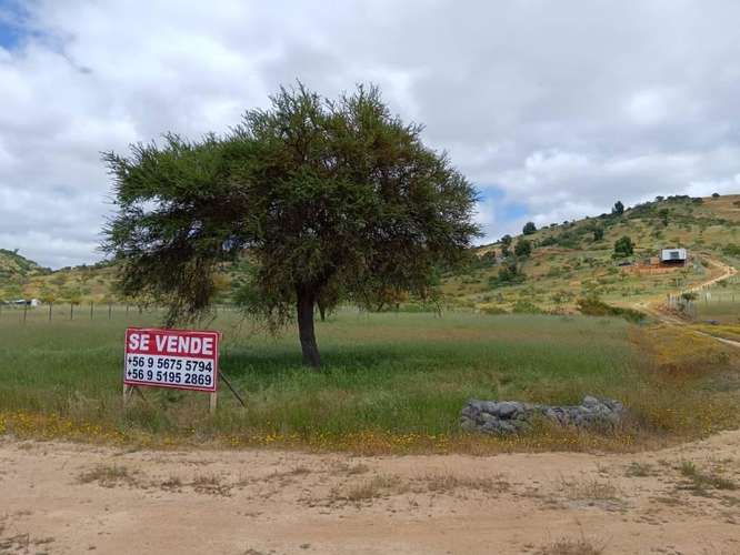¡Gran Oportunidad! Venta de Hermosa Parcela de 5.000 m² en Pumanque (Rol Propio)