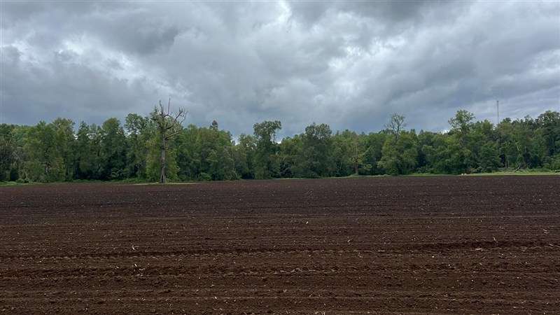 Agrícola en venta en Los Lagos - Imagen 6