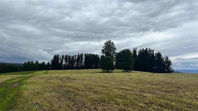Agrícola en venta en Los Lagos - Imagen 37