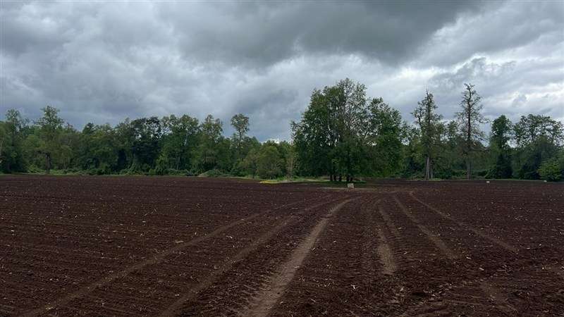 Agrícola en venta en Los Lagos - Imagen 5