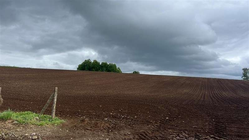 Agrícola en venta en Los Lagos - Imagen 10