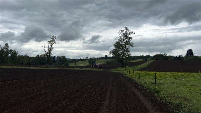 Agrícola en venta en Los Lagos - Imagen 8