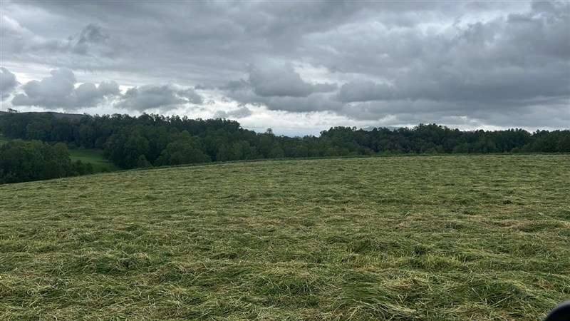 Agrícola en venta en Los Lagos - Imagen 29