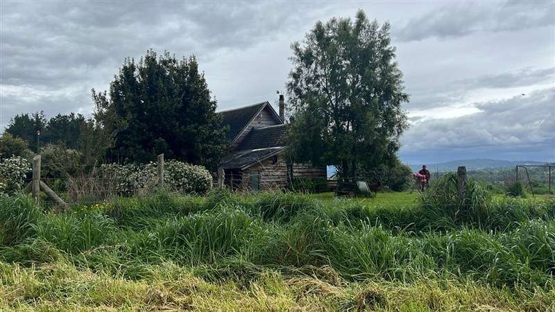 Agrícola en venta en Los Lagos - Imagen 39