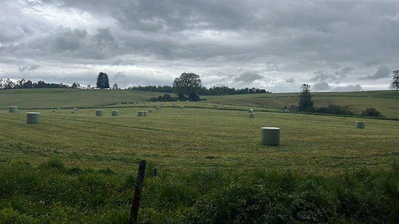 Agrícola en venta en Los Lagos - Imagen 2