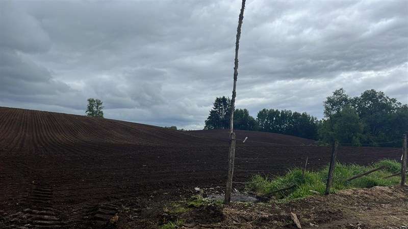Agrícola en venta en Los Lagos - Imagen 11