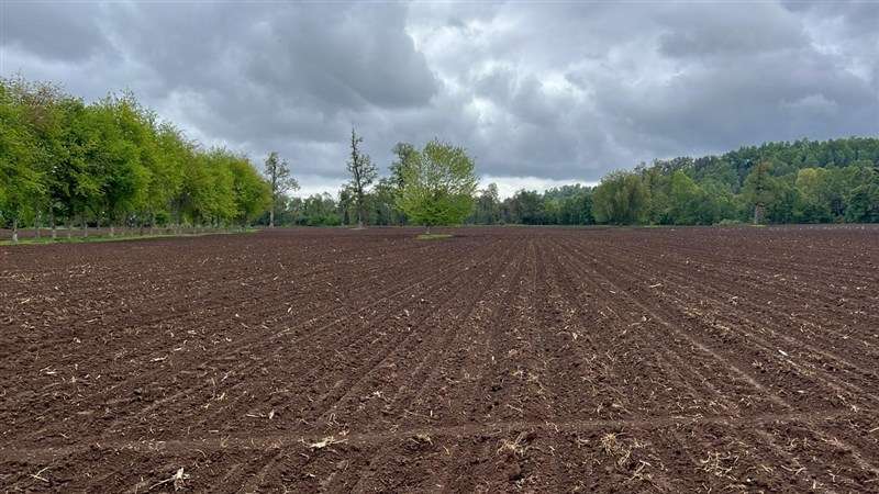 Agrícola en venta en Los Lagos - Imagen 4