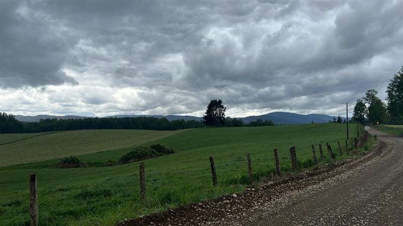 Agrícola en venta en Los Lagos - Imagen 28