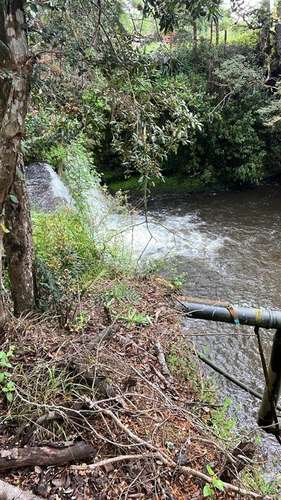 Agrícola en venta en Los Lagos - Imagen 21