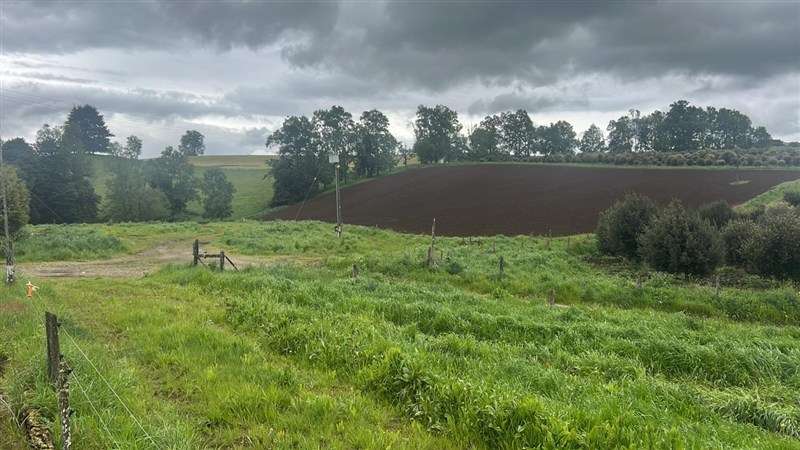 Agrícola en venta en Los Lagos - Imagen 26