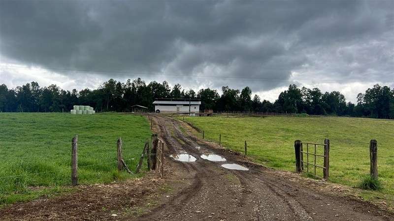 Agrícola en venta en Los Lagos - Imagen 25