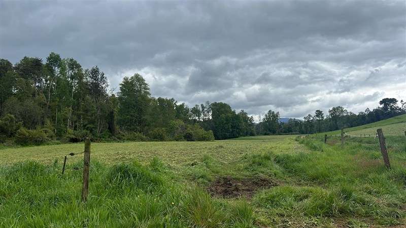 Agrícola en venta en Los Lagos - Imagen 15