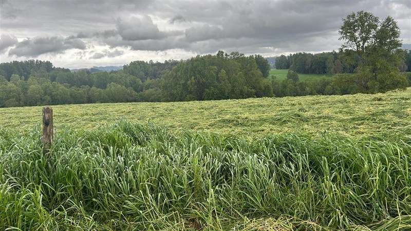 Agrícola en venta en Los Lagos - Imagen 30