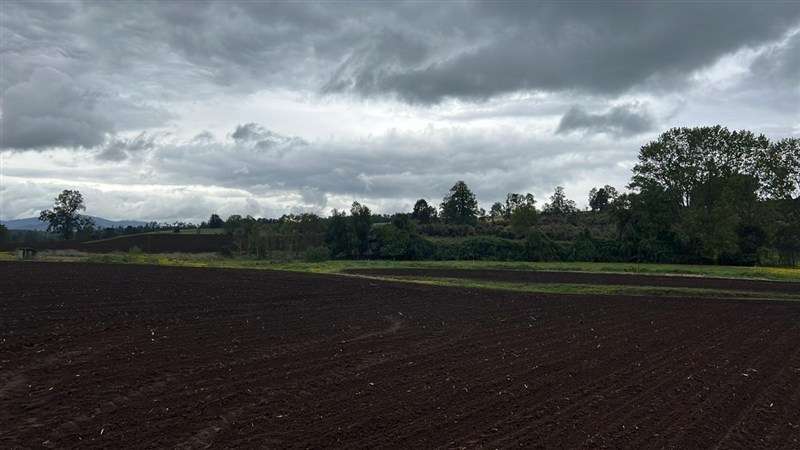 Agrícola en venta en Los Lagos - Imagen 7
