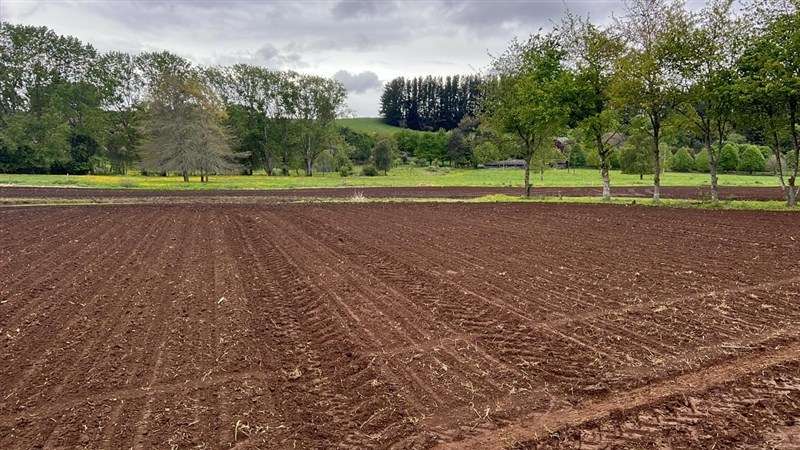 Agrícola en venta en Los Lagos - Imagen 3