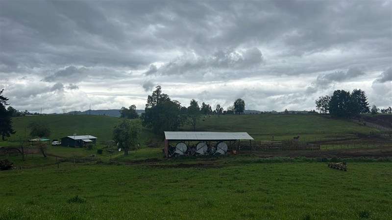 Agrícola en venta en Los Lagos - Imagen 22