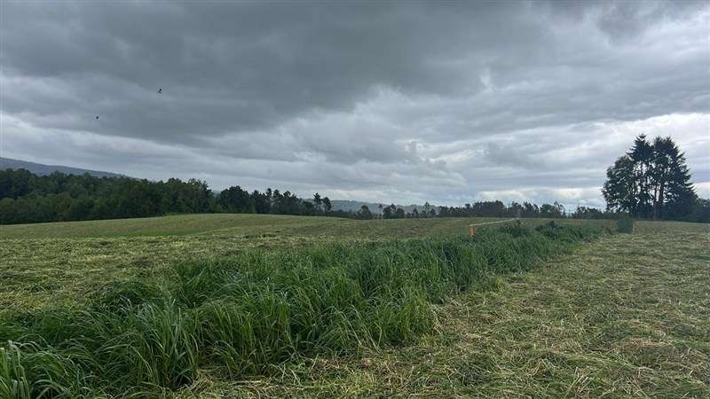 Agrícola en venta en Los Lagos - Imagen 31