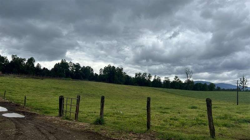 Agrícola en venta en Los Lagos - Imagen 27