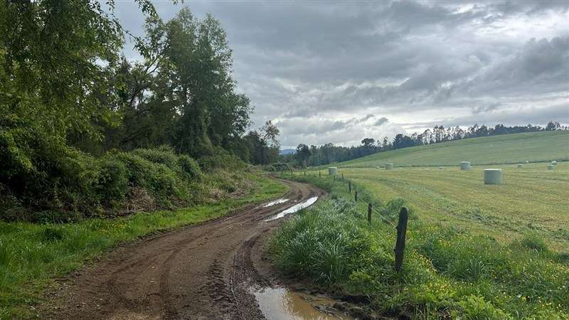 Agrícola en venta en Los Lagos - Imagen 17