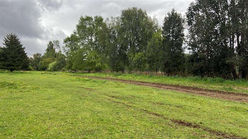 Agrícola en venta en Los Lagos - Imagen 16