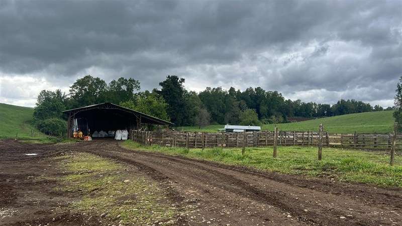 Agrícola en venta en Los Lagos - Imagen 24