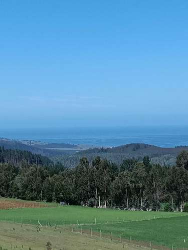 El Castaño, Cobquecura (187276) - Imagen 1