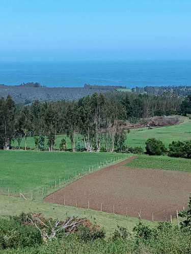 El Castaño, Cobquecura (187276) - Imagen 14